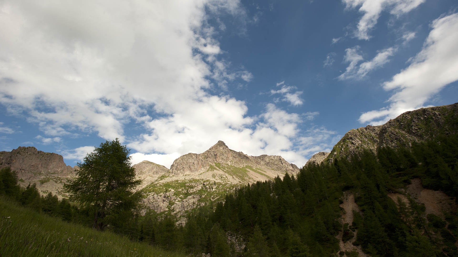 Um Palai Valle del Fersina Val dei Mocheni Palù del Fersina